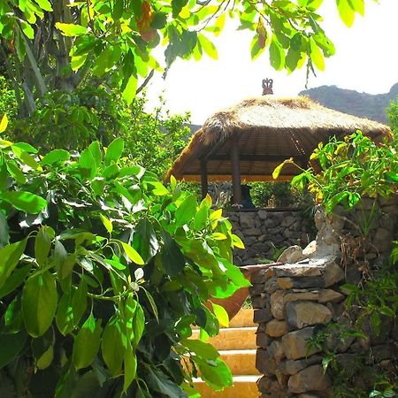 Villa With Ocean View Agulo Zewnętrze zdjęcie